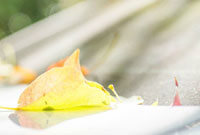 种形式的健 种形式的健